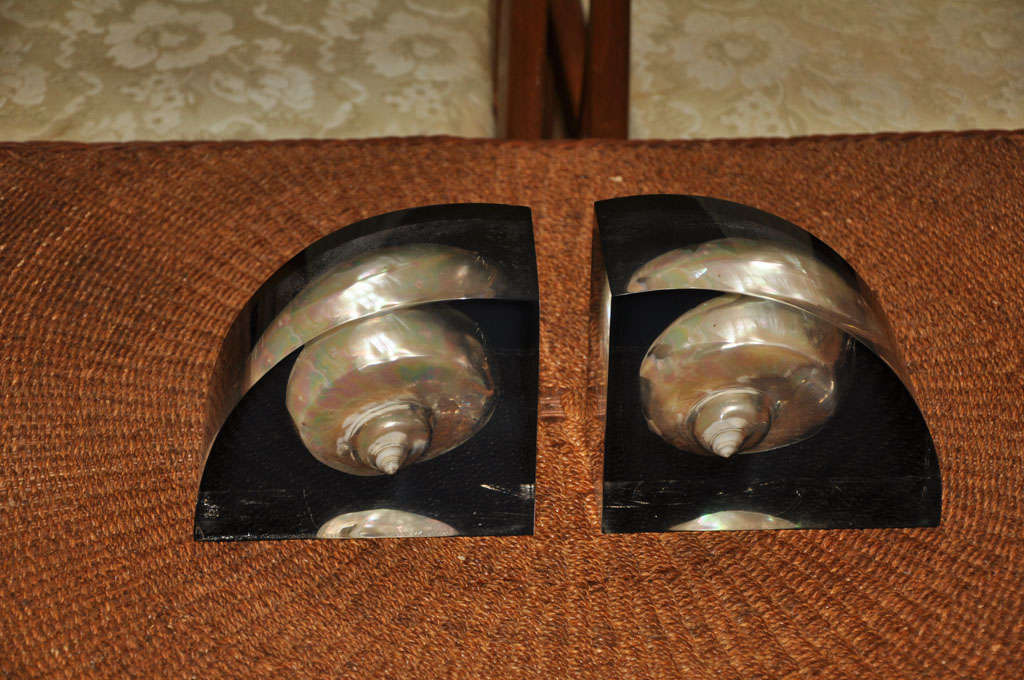 American Thick Mid Century Lucite Bookends with Nautilus Shells