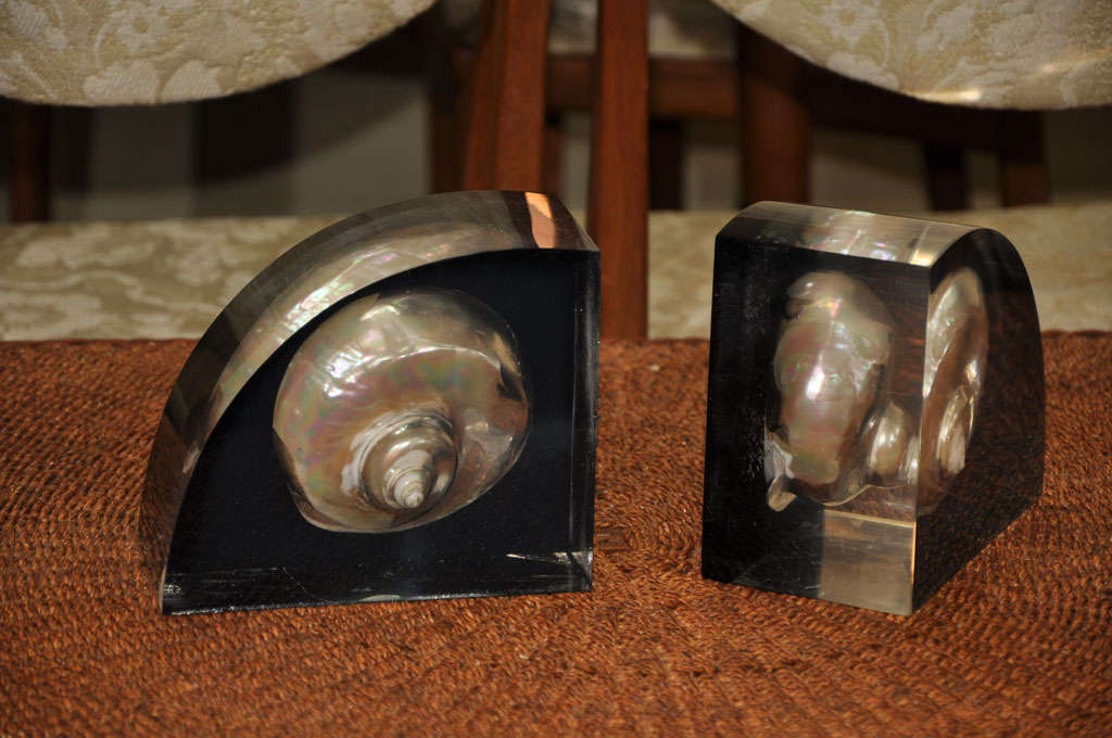 Mid-20th Century Thick Mid Century Lucite Bookends with Nautilus Shells