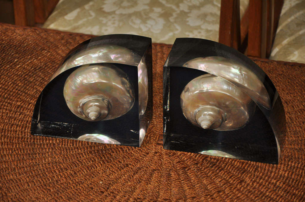 Thick Mid Century Lucite Bookends with Nautilus Shells 3