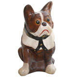 Chalk Bulldog in Harness