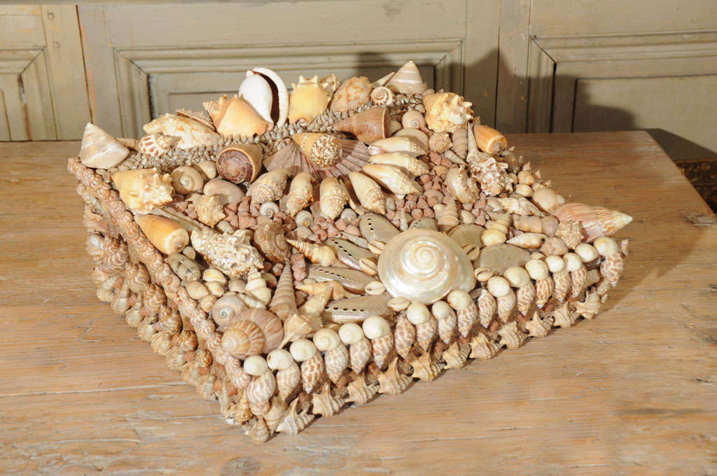 French Shell Box