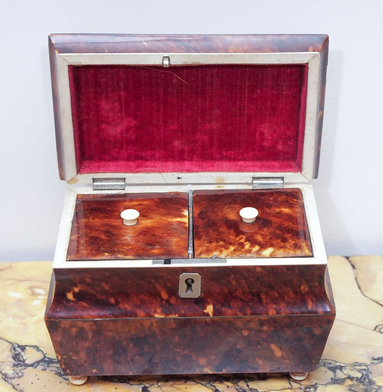 English Victorian Tortoiseshell Tea Caddy with Eglomise Panel In Good Condition For Sale In Natchez, MS