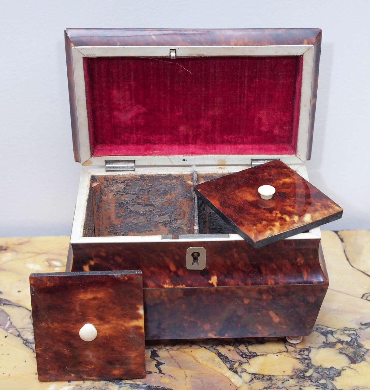 19th Century English Victorian Tortoiseshell Tea Caddy with Eglomise Panel For Sale