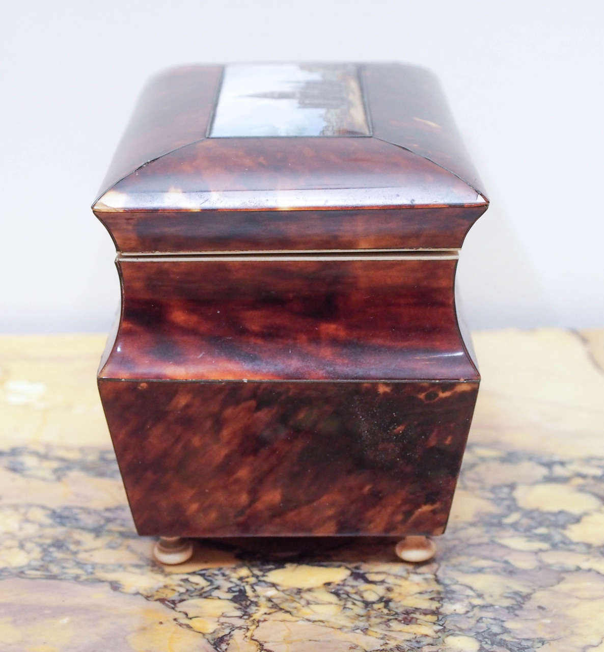 English Victorian Tortoiseshell Tea Caddy with Eglomise Panel For Sale 1