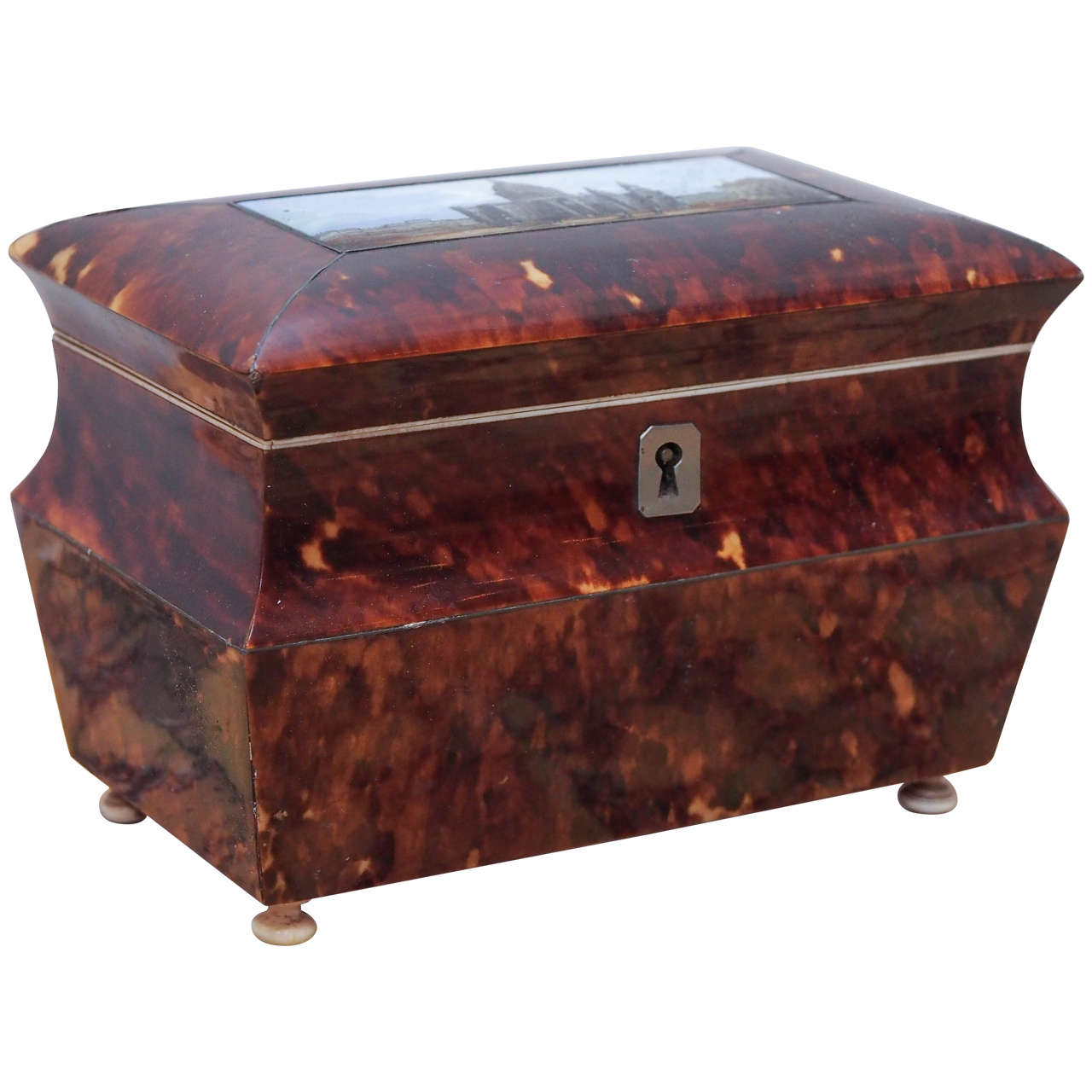 English Victorian Tortoiseshell Tea Caddy with Eglomise Panel For Sale