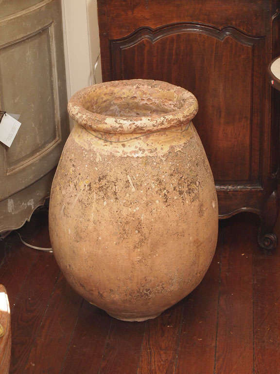 19th Century Olive Jar