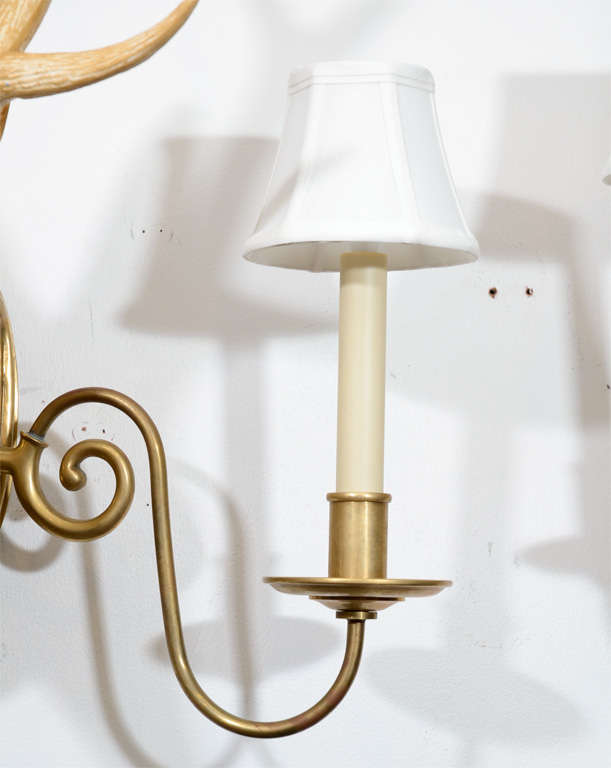 Amazing Pair of Metal deer head sconces. Base made from solid brass and deer head made from enameled metal. Each has two candelabra form lights with shades and also illuminates from behind the Deer Head.Incredibly Well Made out of Solid Brass and