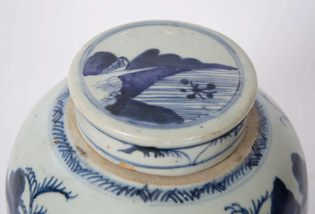 Chinese Blue and White Jar and Lid, Porcelain, 18th Century In Good Condition In Lincoln, Lincolnshire