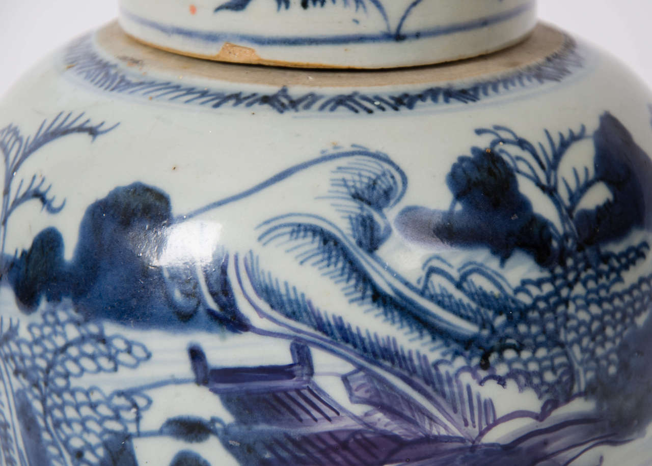 18th Century and Earlier Chinese Blue and White Jar and Lid, Porcelain, 18th Century