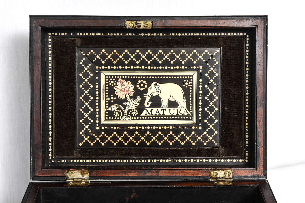 Colonial Porcupine Quill Ebony and Inlaid Table Box 2
