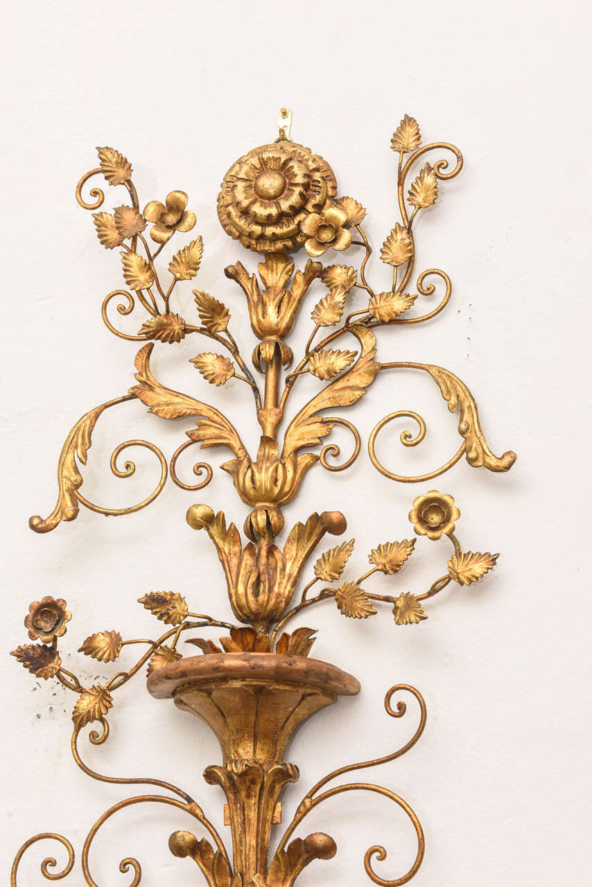 HUGE Pair of Gilt Wall Sconces, 20th century In Good Condition In West Palm Beach, FL