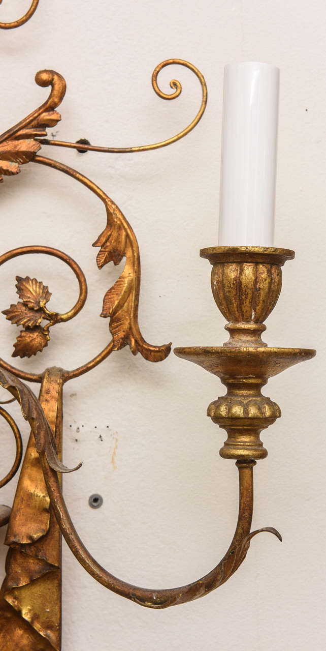 20th Century HUGE Pair of Gilt Wall Sconces, 20th century