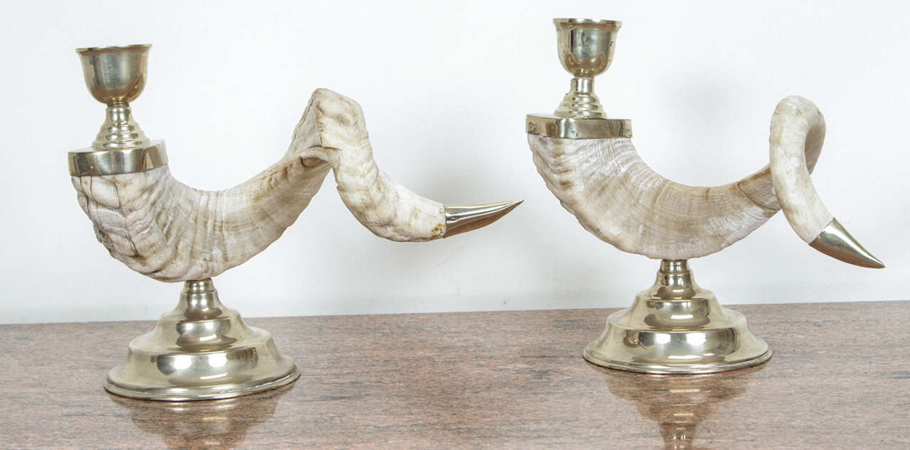 Pair of lovely Rams horn candlesticks.  The horns are outfitted with silver bases, candleholders and tips.   The tips are each discreetly embossed with a number.  
One has 24,  the other has 45.