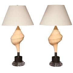 PR/SPECTACULAR AUSTRALIAN TRUMPETSHELL AND LUCITE LAMPS