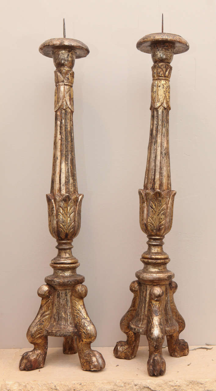Pair of 18th Century Italian Candlesticks