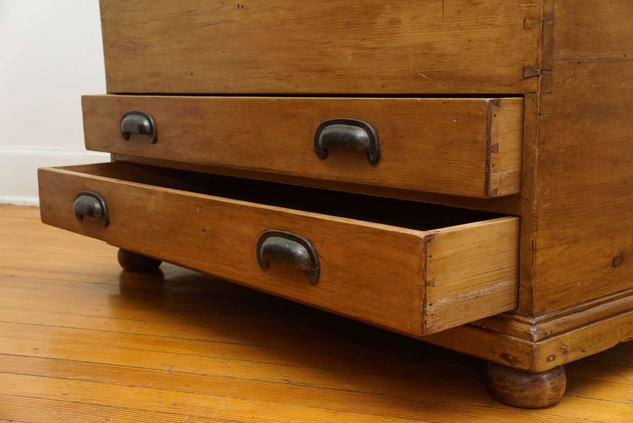Late 19th Century Mule Chest with Storage Lid and 2 Drawers