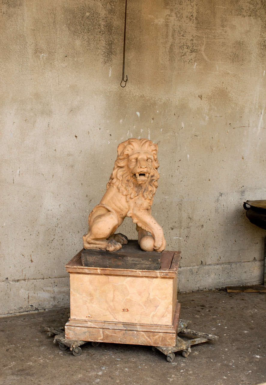 Italian 19th Century Terracotta Lion on Faux Marble Pedestal, 4.5 Ft Tall  For Sale 6