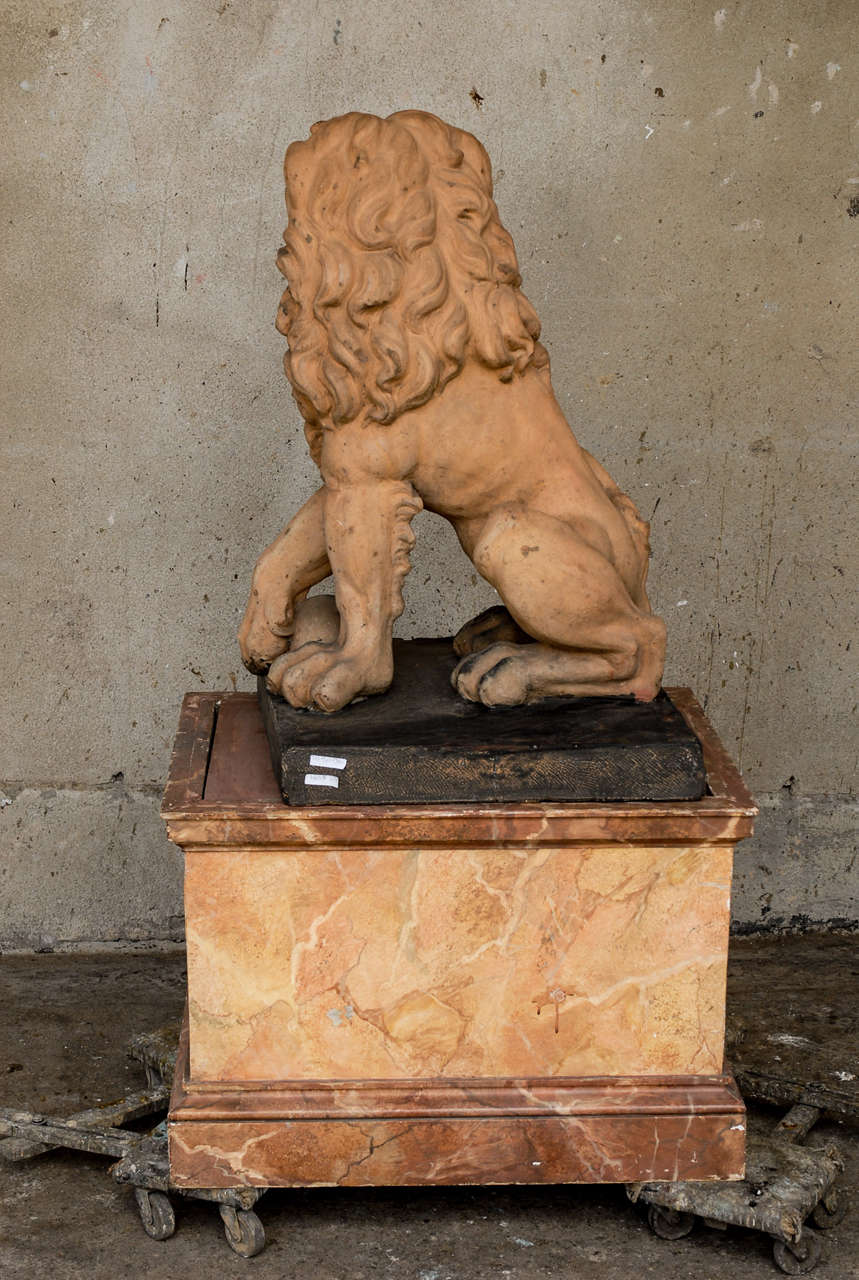 Grand lion italien du 19ème siècle en terre cuite sur piédestal en faux marbre, 11,4 m de haut  en vente 3