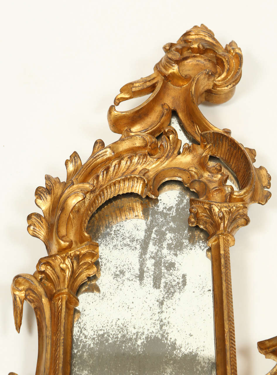 Pair of 19th Century Italian Giltwood Mirrors For Sale 2