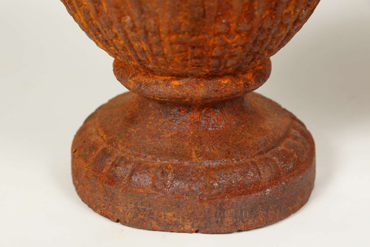 20th Century Pair of Vintage Iron Urns