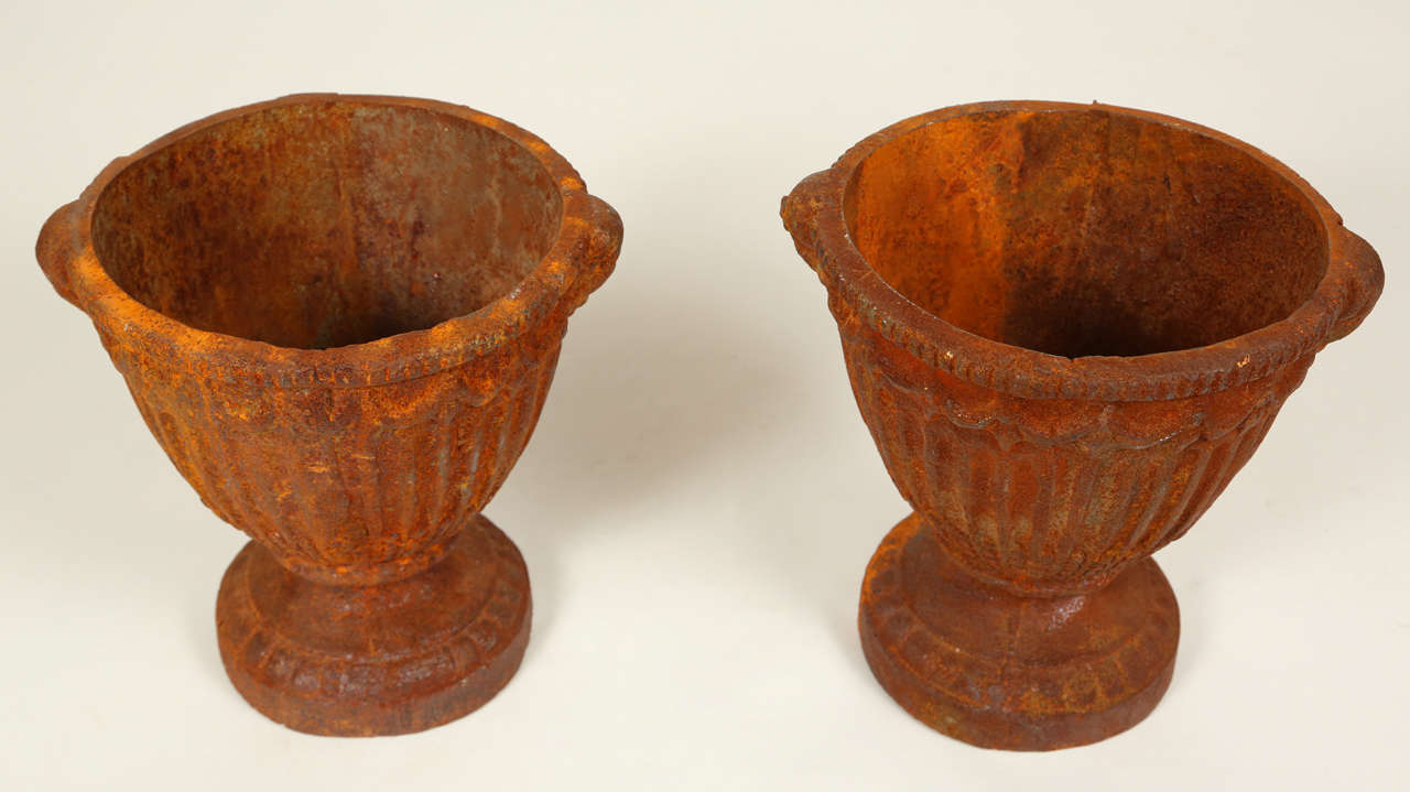 Pair of Vintage Iron Urns 4