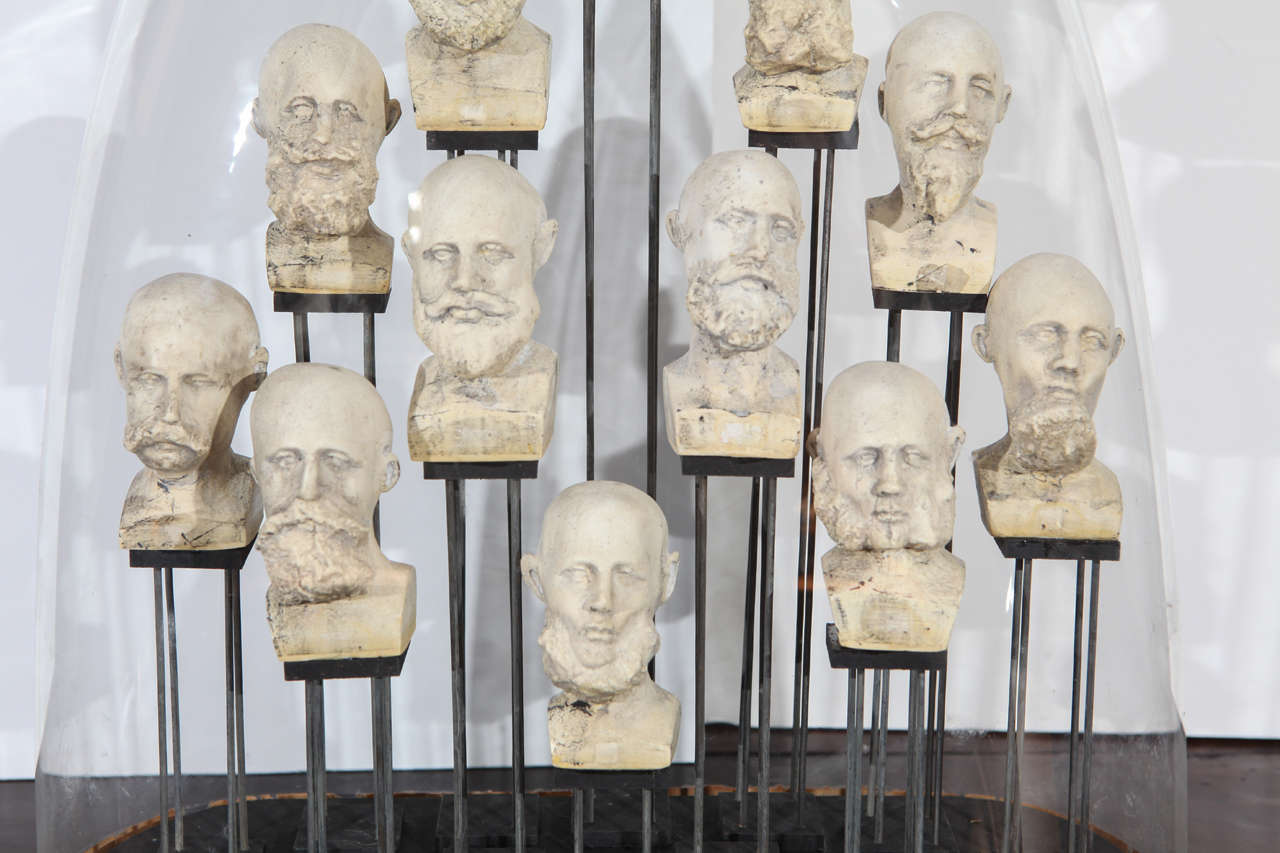 Collection of Phrenology in Oval Dome In Good Condition In Los Angeles, CA