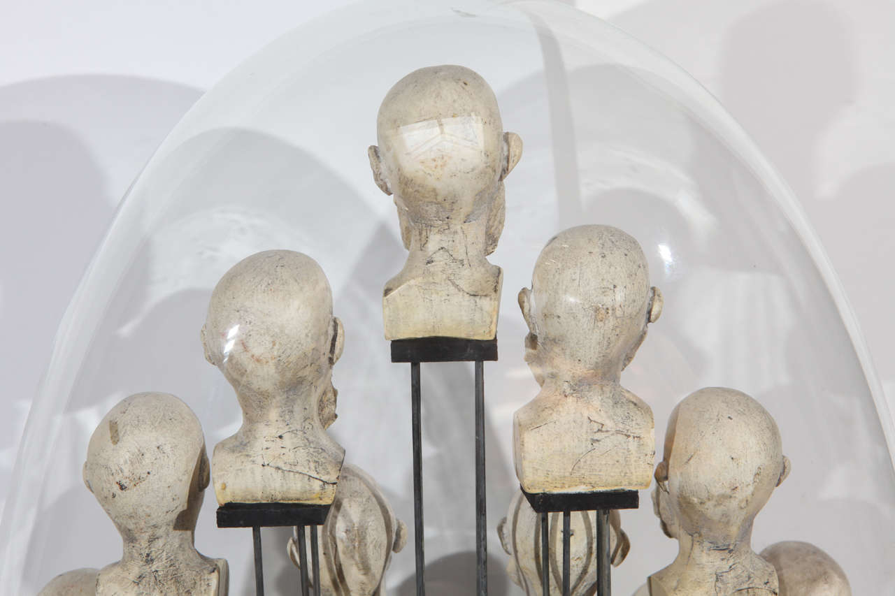 Collection of Phrenology in Oval Dome 4