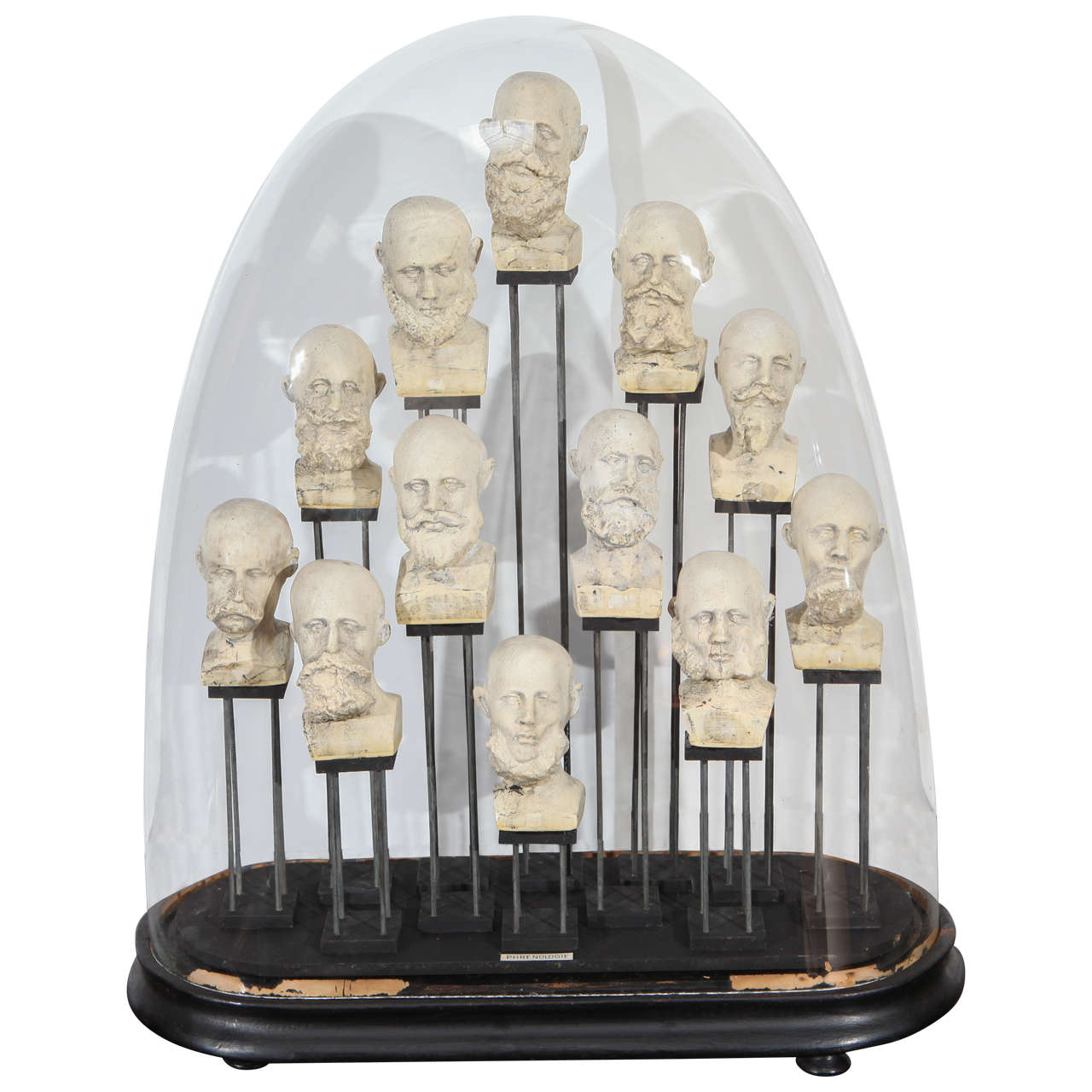 Collection of Phrenology in Oval Dome