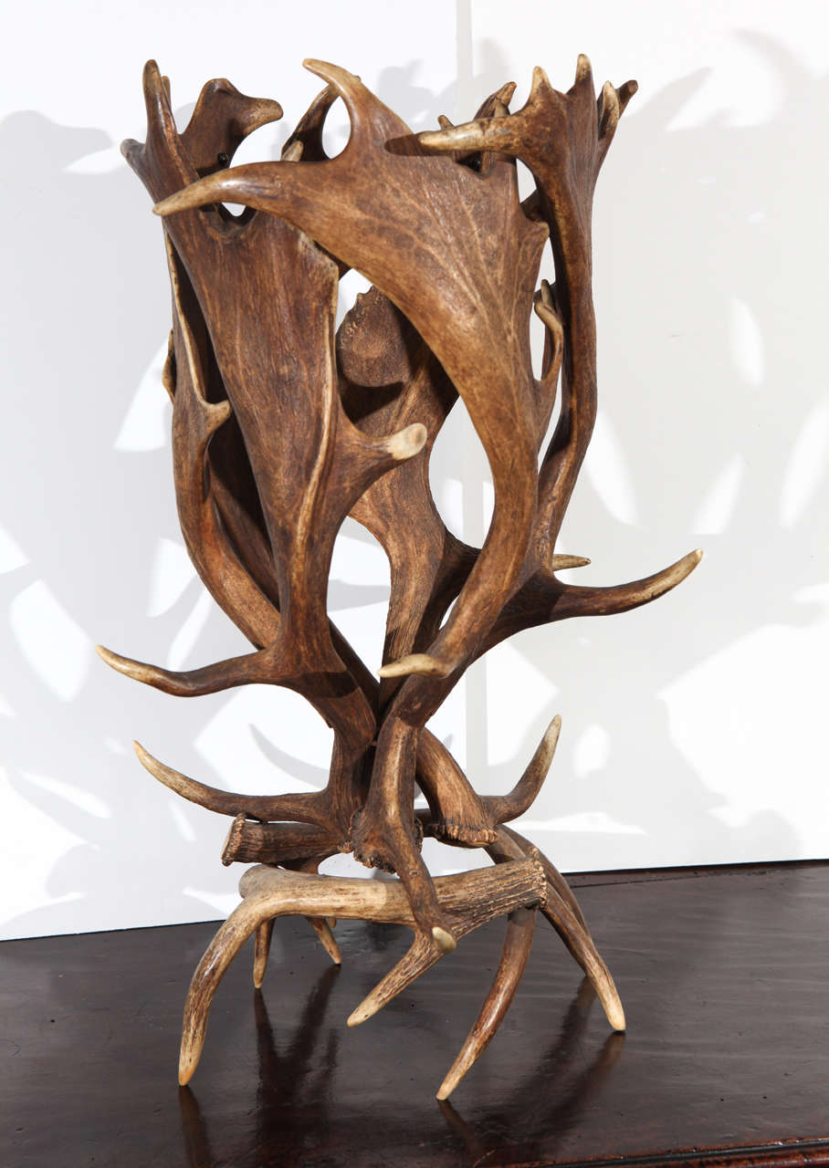 A jardiniere from Antlers