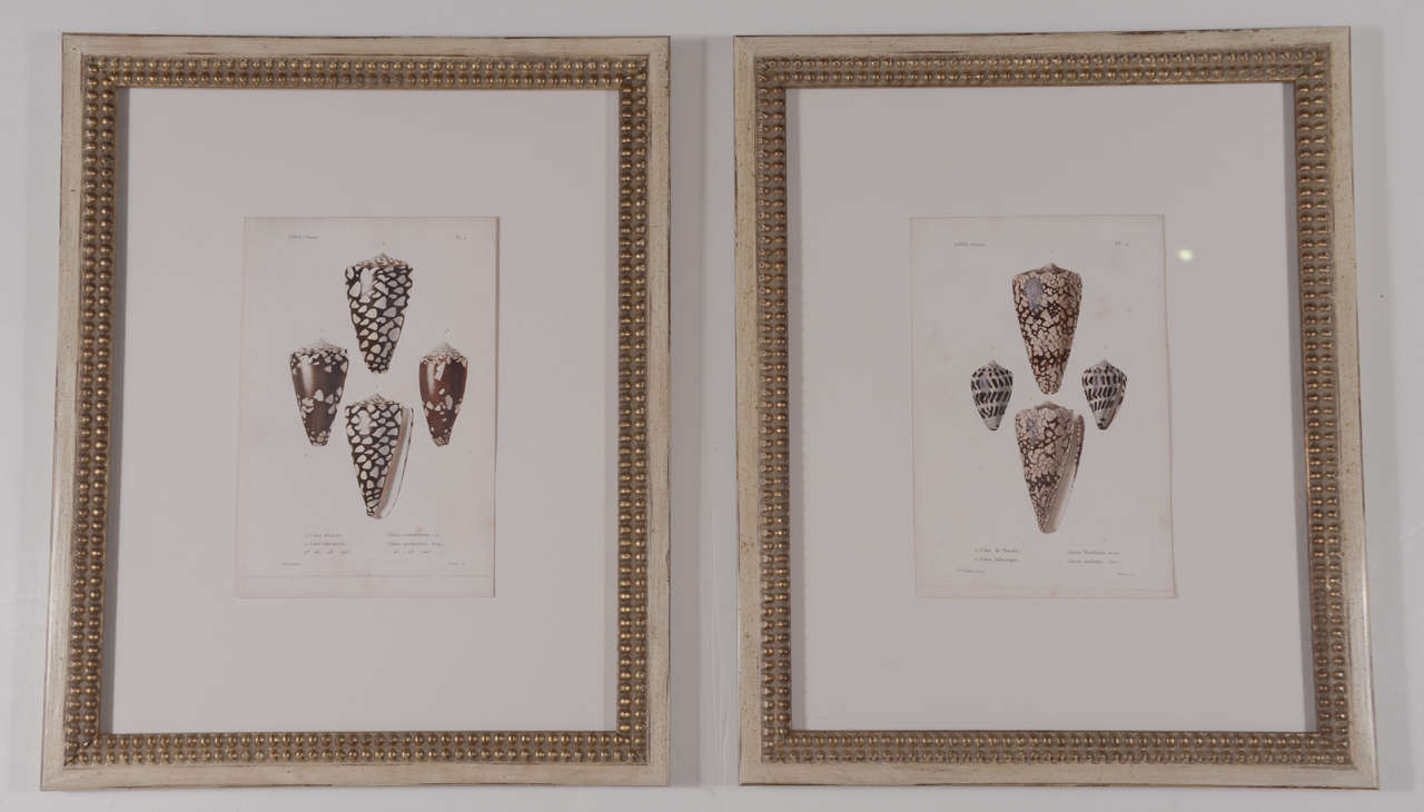 Pair of 19th c. hand colored copper engravings originally from a book. Newly framed in a beaded gilt and cream wood finish. Framed with museum glass.
