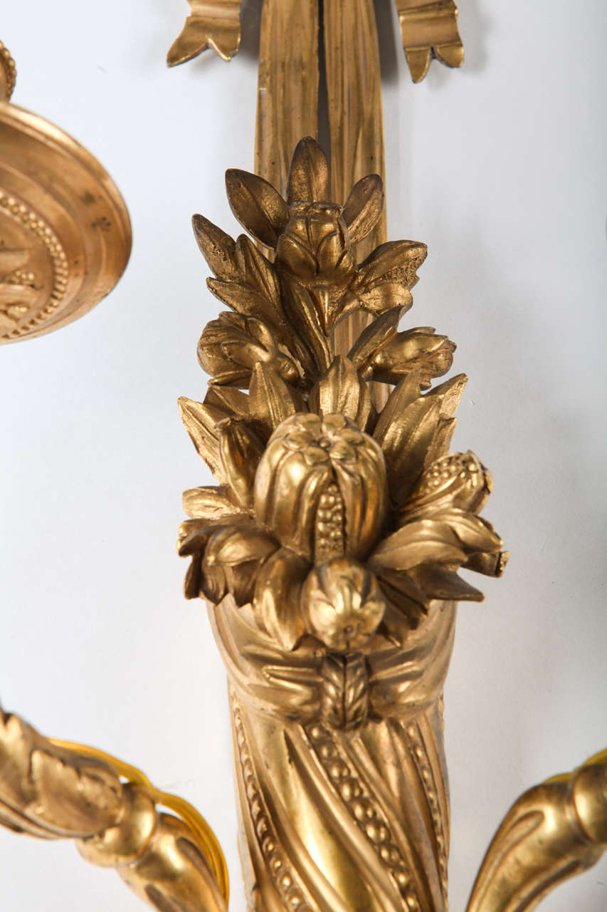 Pair of French, 18th Century Louis XVI Ormolu Two-Arm Sconces In Excellent Condition In Rome, IT