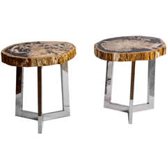 Pair Of Petrified Wood Side Tables