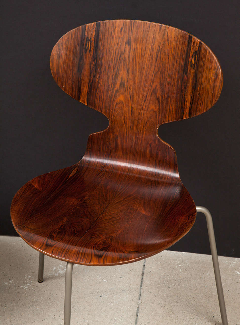 Metal Ant Rosewood Table and Dining Chair Set by Arne Jacobsen