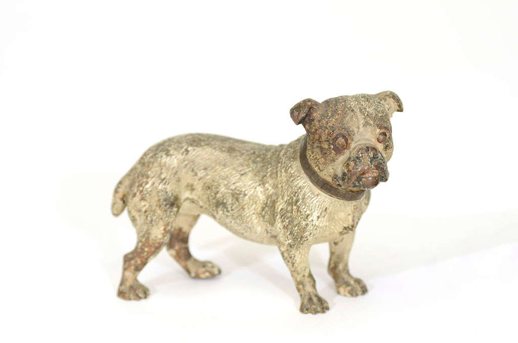 Vienna Bronze of a Bulldog