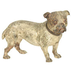 Antique Vienna Bronze of a Bulldog