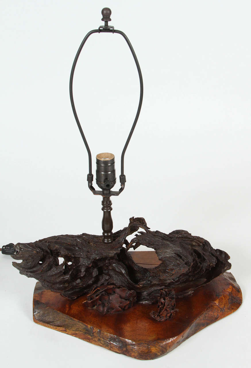 1930s Driftwood Table Lamp 2