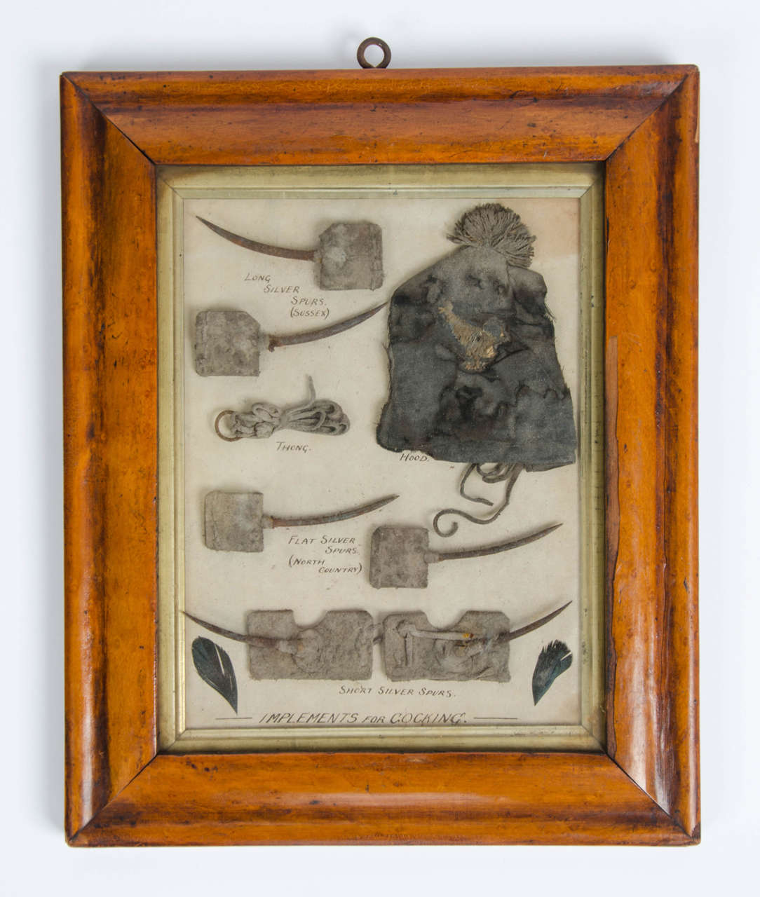 A most unusual hand written named and dated framed Cockfighting rules, with fighting spurs, hood and thong in matching frame. The cotton hood having a silk stitched fighting cock embroidered into it. The rules are named John Ardesois and dated 1754