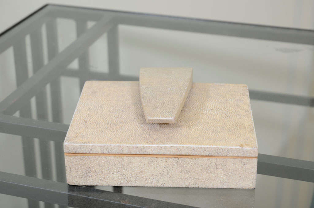 Box-Shagreen Signed on reverse: R & Y Augusti