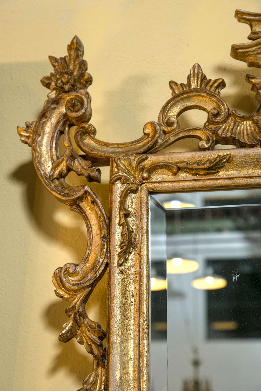 Pair of Rococo Carved and Giltwood Mirrors In Good Condition In Stamford, CT