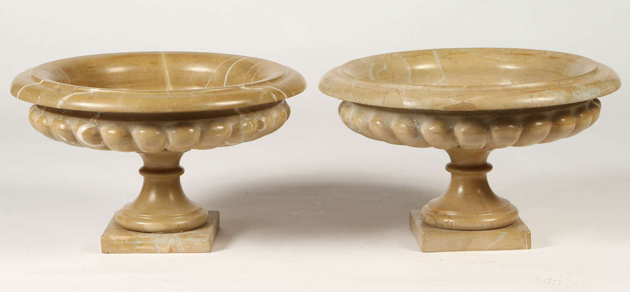 A pair of Neoclassical style tazzas with everted rims and lobed sides, sitting atop square plinth bases in wonderful caramel colored marble, veined with white. These would make beautiful center pieces for the table.