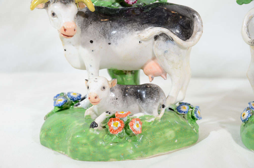 Porcelain A Pair of Derby  Cows with Calves