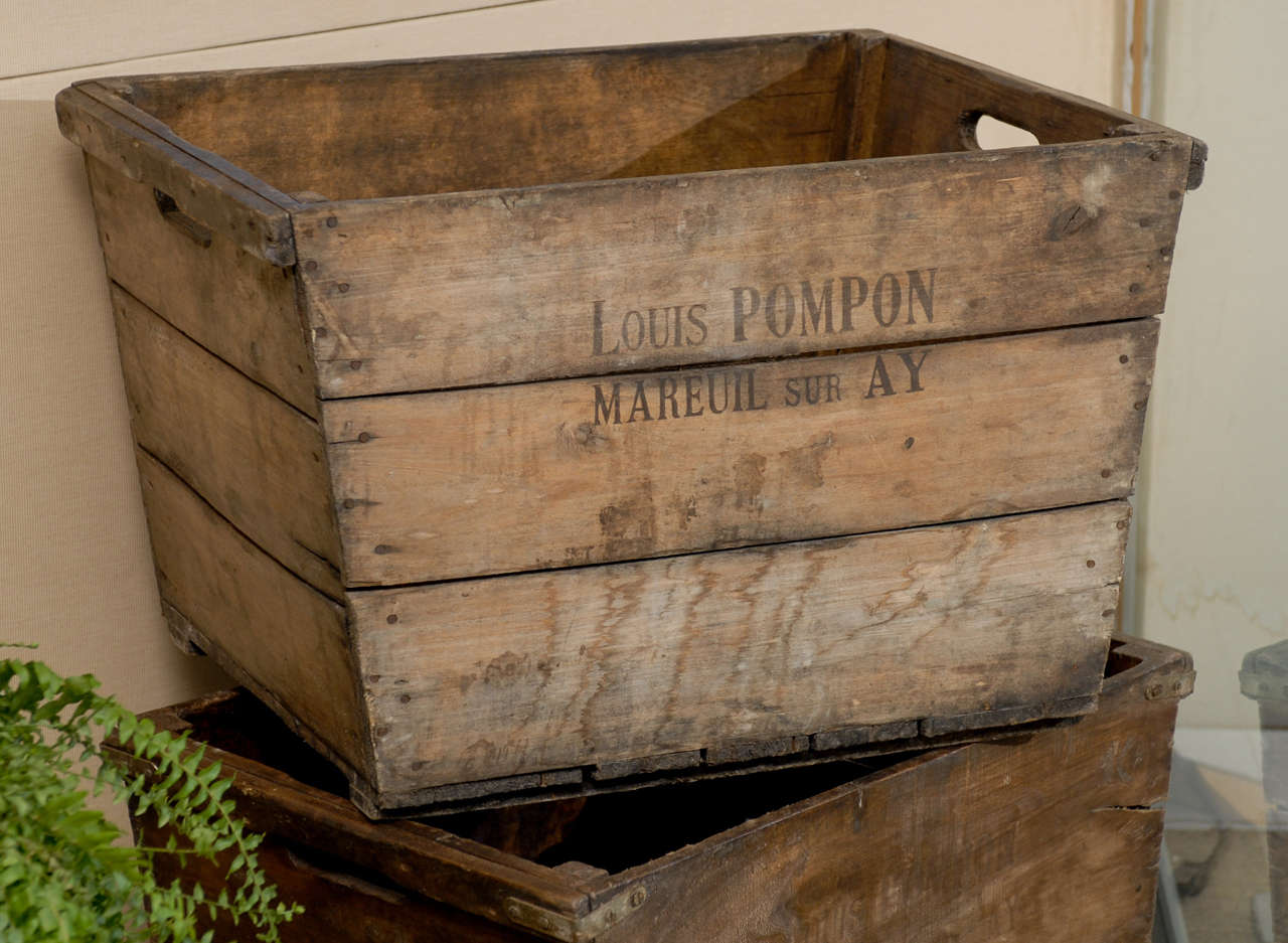 Champagne Box