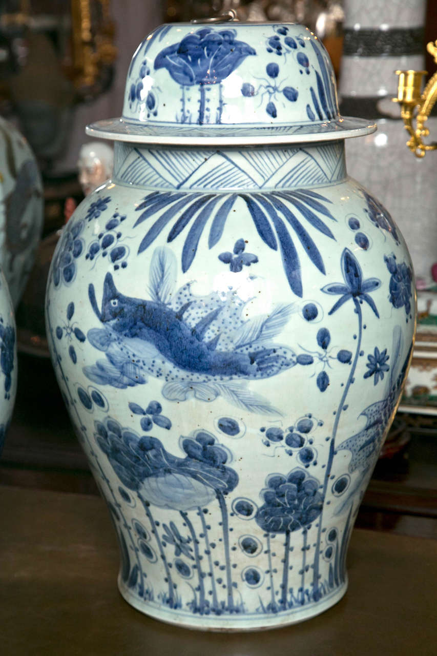 Large Pair of Chinese Blue and White Porcelain Jars In Excellent Condition In Woodbury, CT