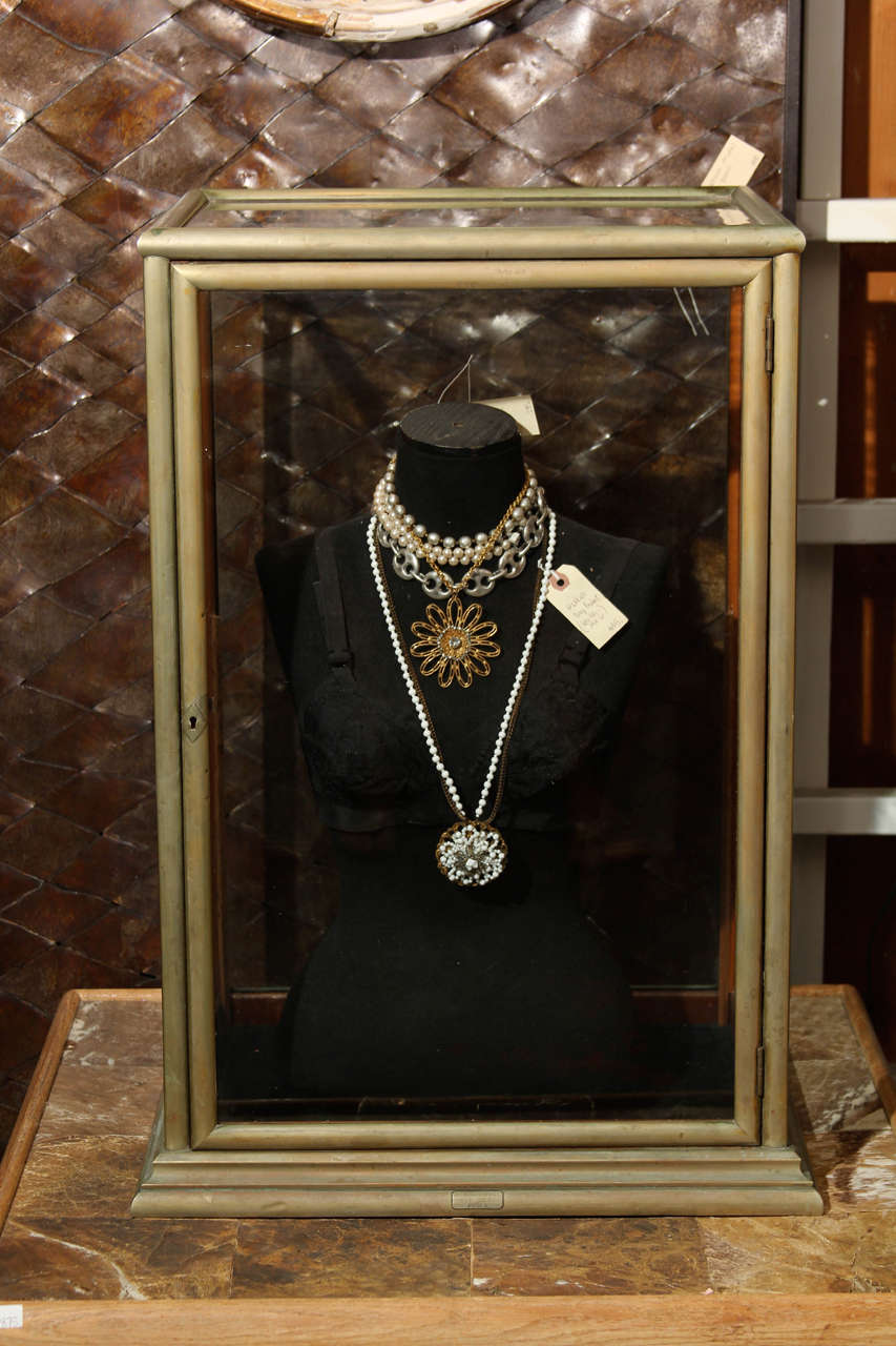Zinc Trimmed Display Case