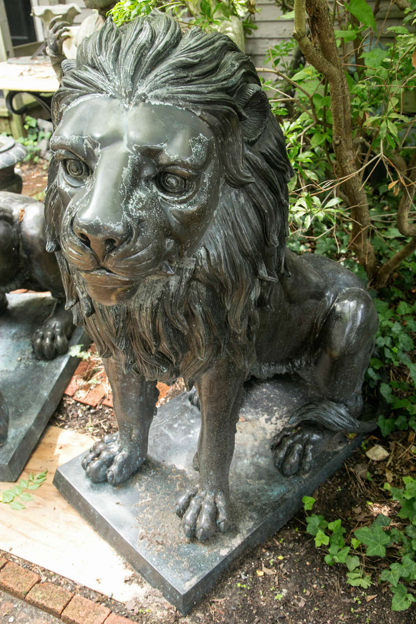 Large Pair of Seated Bronze Lions