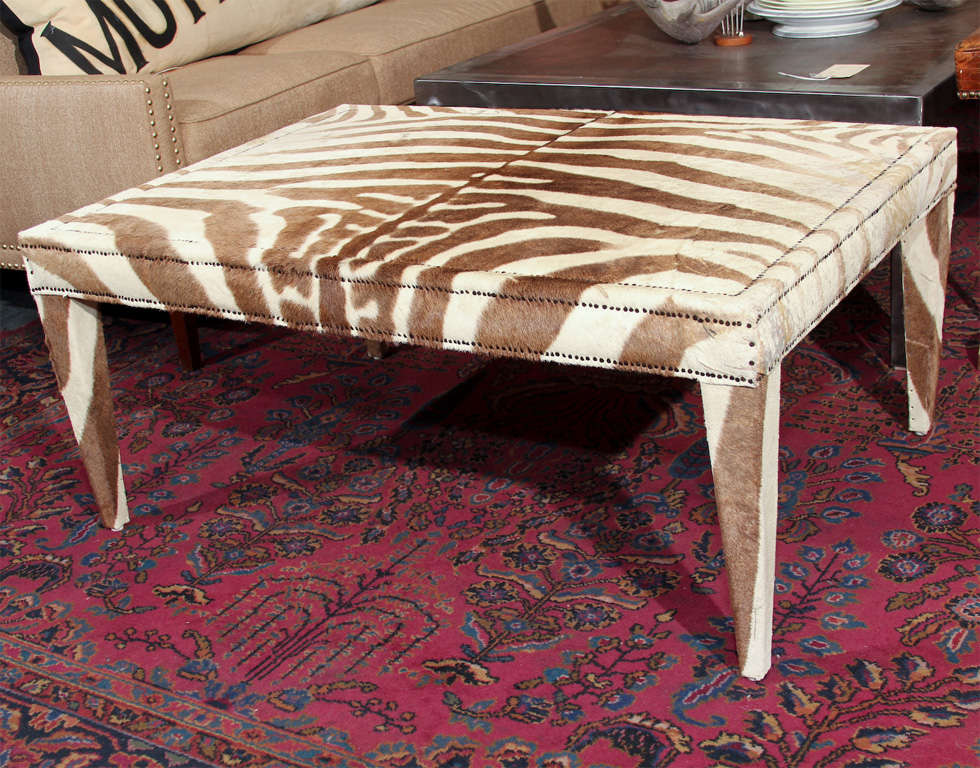 beautiful brown vintage zebra table trimmed in nailhead