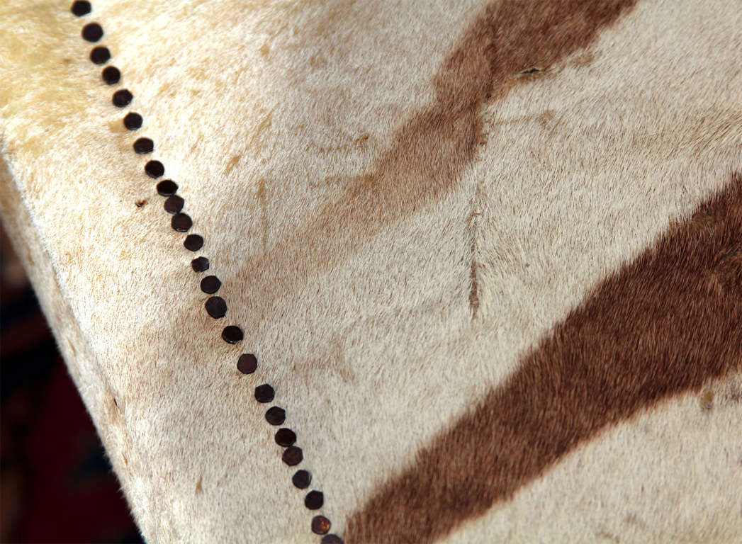custom coffee/cocktail table upholstered in vintage zebra hide 1