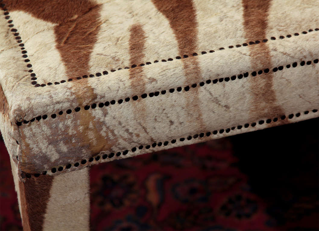 custom coffee/cocktail table upholstered in vintage zebra hide 2