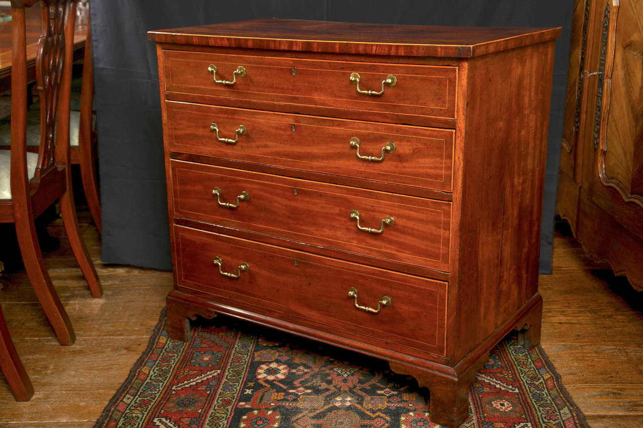 Mahogany Bachelor's Chest of Drawers with Banding For Sale at 1stdibs