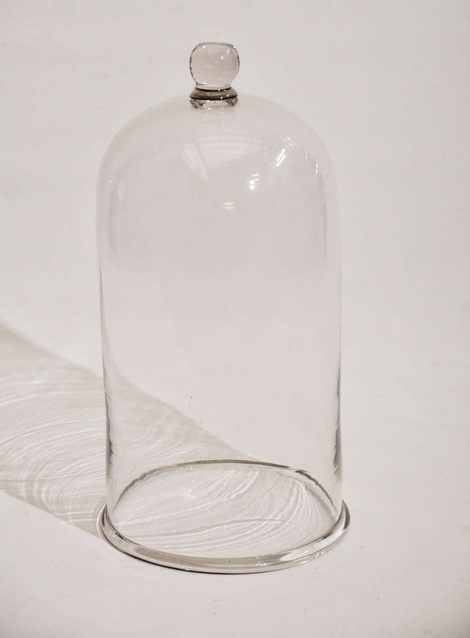 Antique Glass Dome For Sale at 1stDibs glass dome for sale